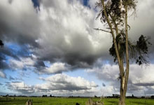 海星体育：5金2银2铜：西安国际陆港一小游泳队在2025年省第九届游泳联赛中获佳绩.