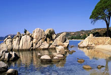 [中超]巴尔加斯射门被挡 古斯塔沃补射得手.